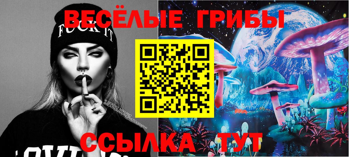 Галлюциногенные грибы Cubensis  купить наркотик  Амурск  Галлюциногенные грибы прущие грибы  Вход с VPN 